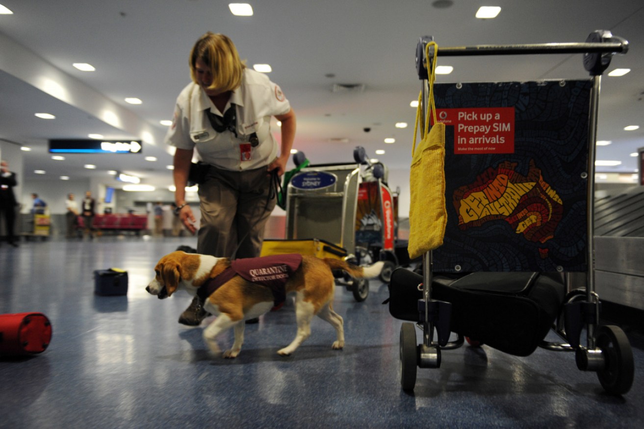 Holiday makers returning home through Australian airports will face extra biosecurity checks.
