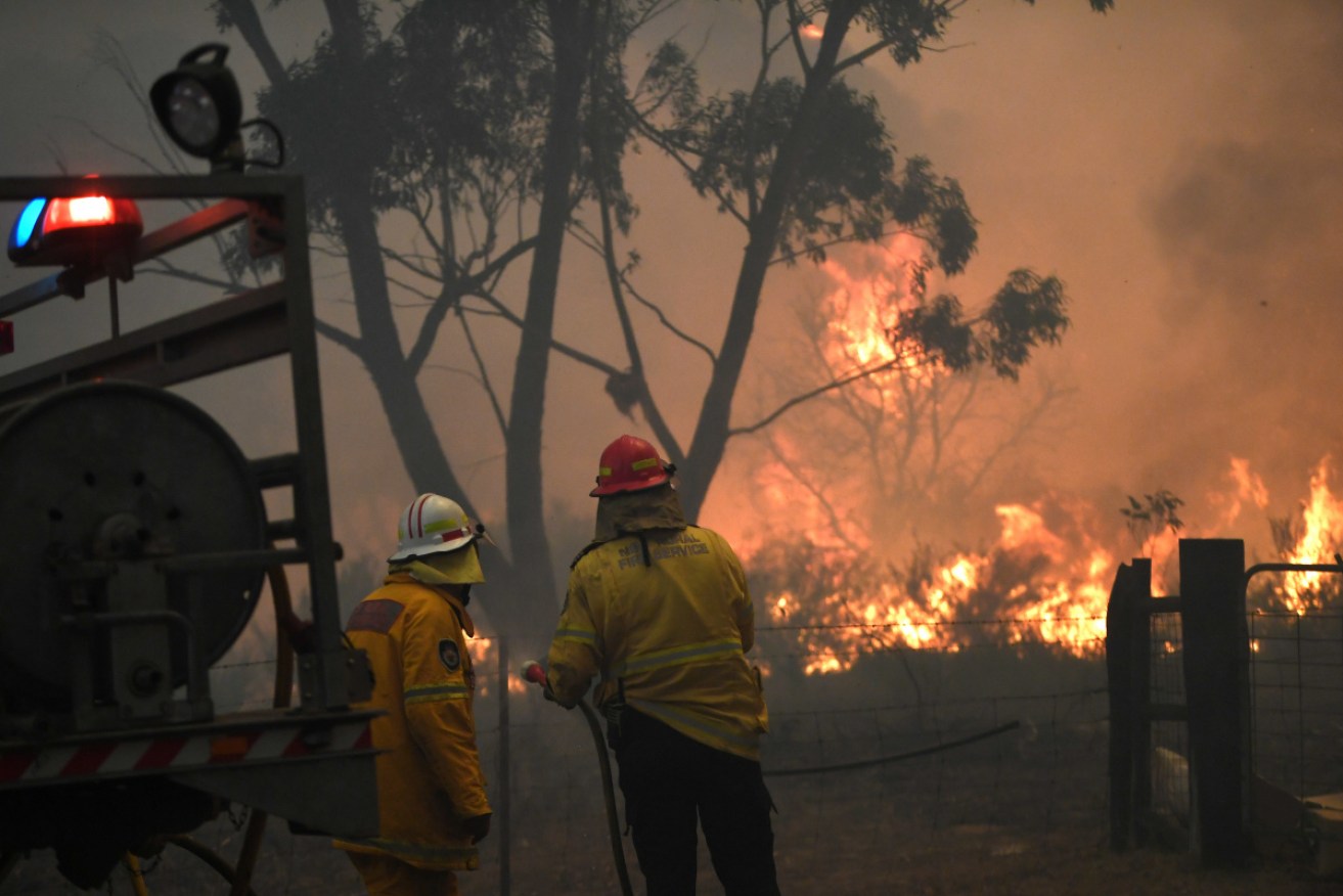 Volunteers fight the Green Wattle Creek fire south-west of Sydney.