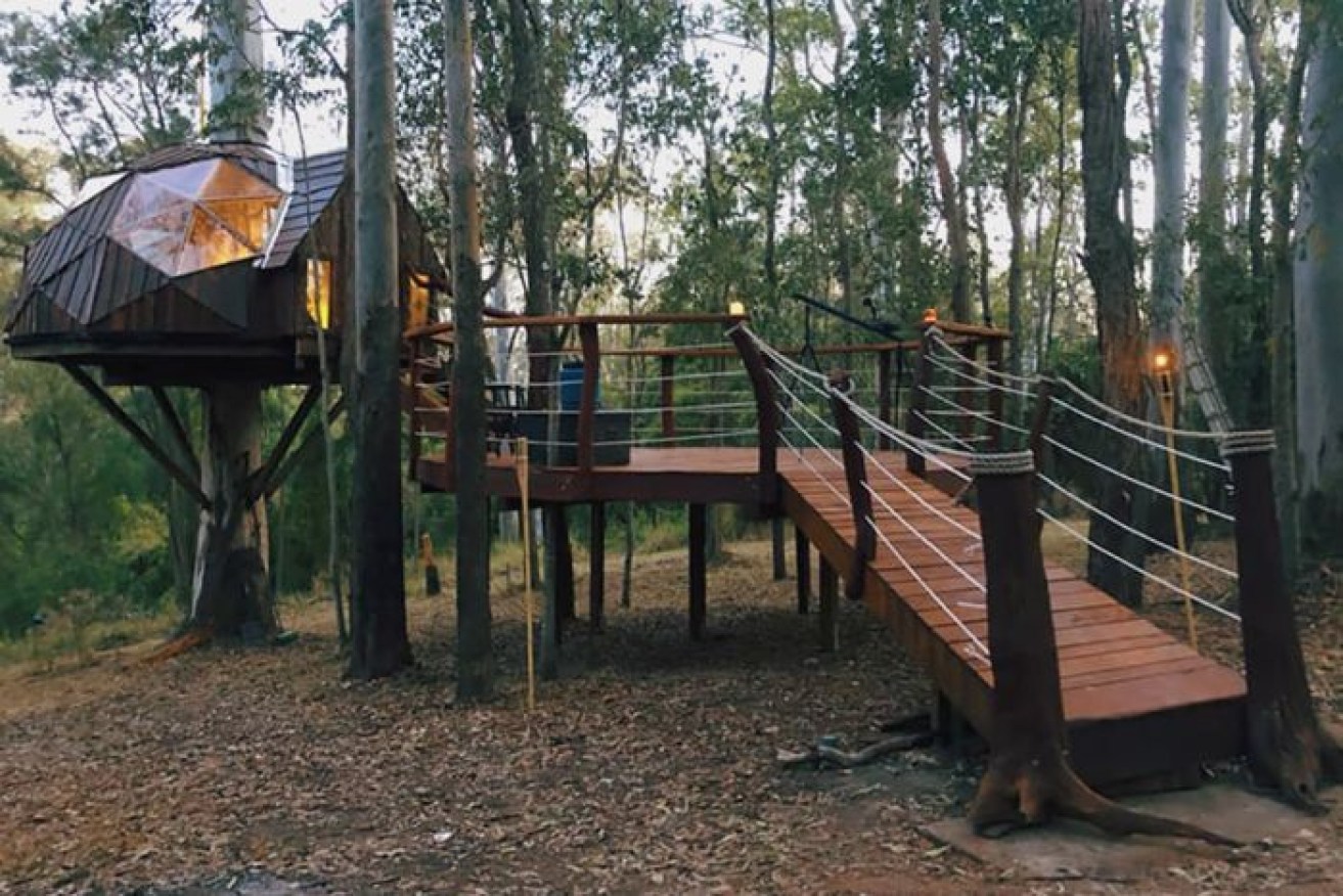 This tree house could be a home, but bushfire risk poses a particular challenge with council approvals.
