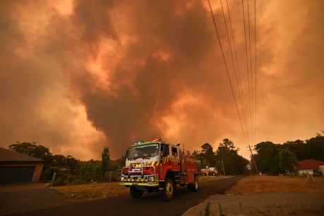 Heatwave spells NSW bushfire danger