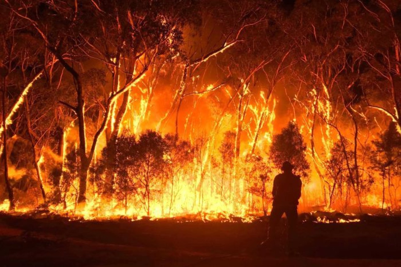 Darren Chester says volunteers fighting long bushfire campaigns, such as this blaze at Gospers Mountain in NSW, should be paid.  <i>Photo: ABC</i>