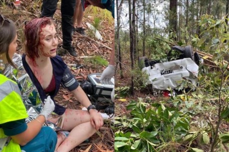&#8216;I was meant to die&#8217;: Victim relives horror of Christmas Day crash