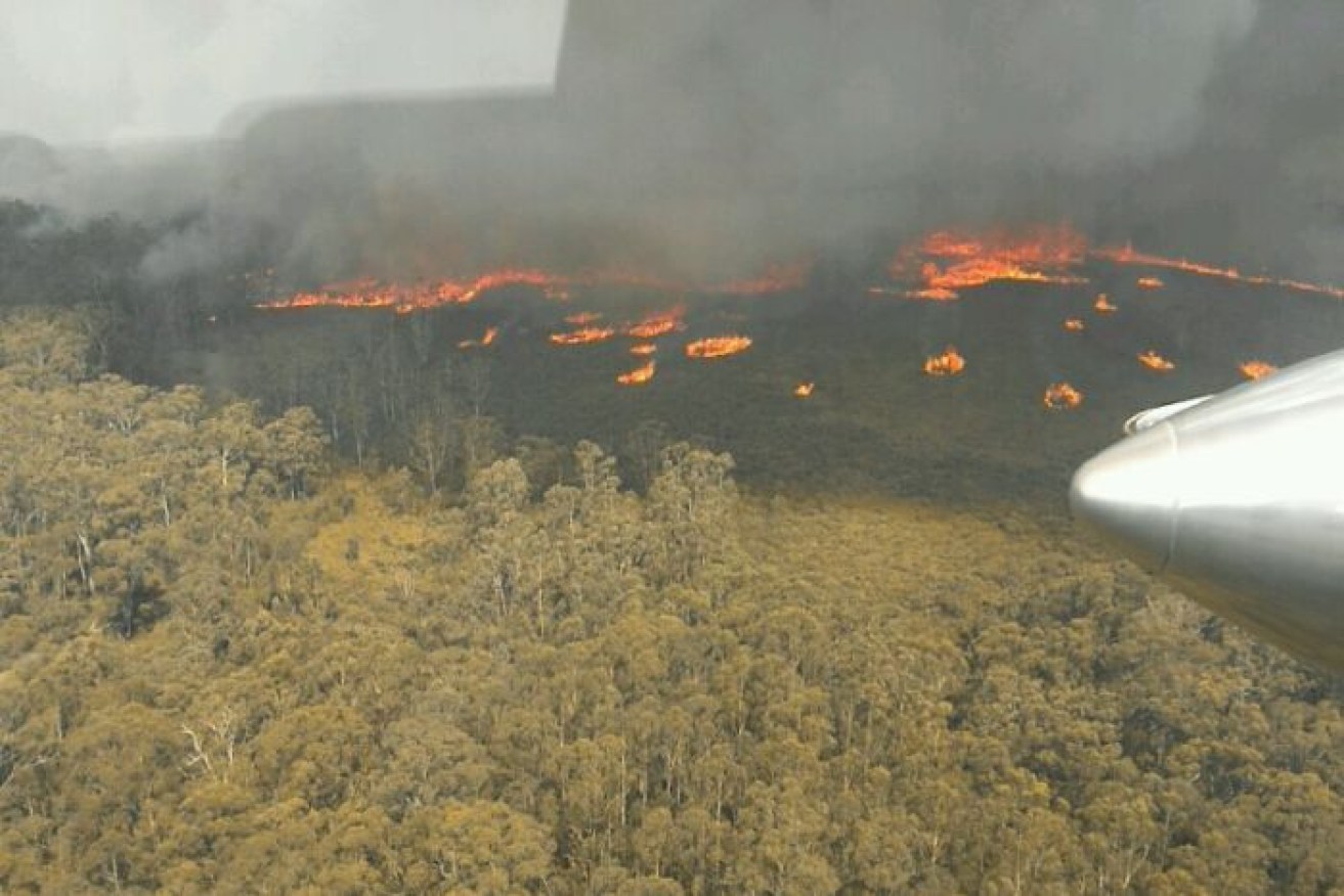 Victorian firefighters are battling blazes across the state, including East Gippsland (pictured). 
