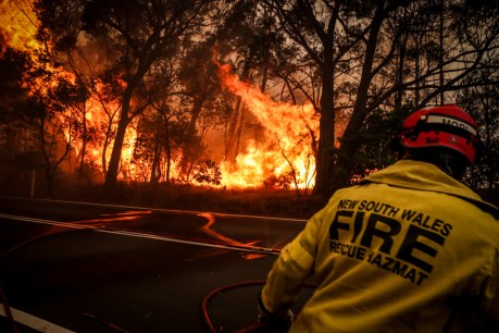 Seven homes lost in northern NSW bushfire