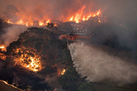 East Gippsland fire victim was local ‘legend’