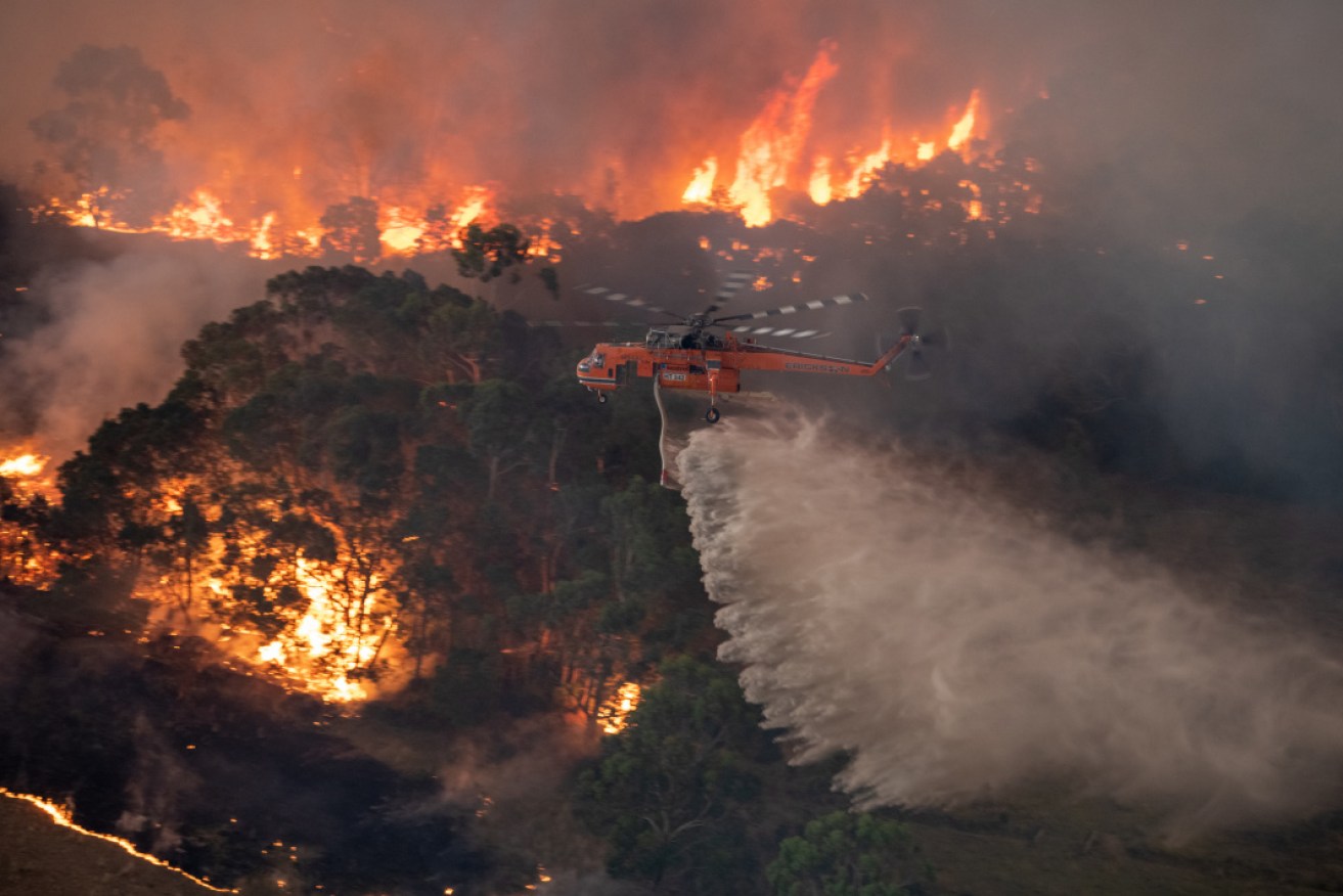 Fires have burned more than 500,000 hectares in East Gippsland.