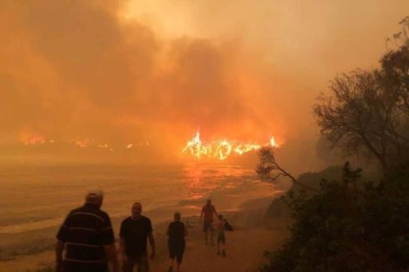‘Death toll will climb’: Bushfires claim more lives