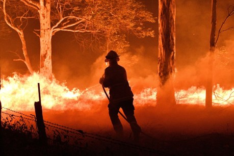 ‘Get out’: NSW tourists must flee before weekend