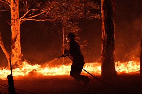NSW, Victoria burn as residents warned of worsening conditions