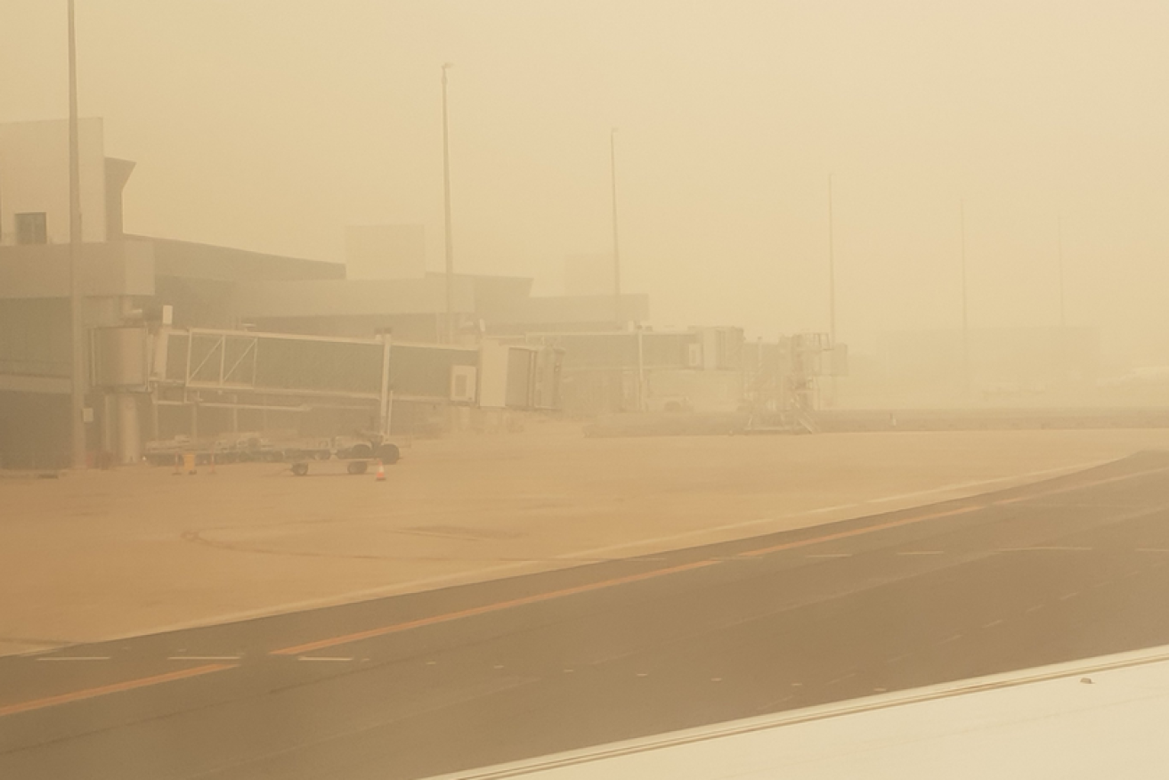 Smoke-blanketed Canberra Airport was one of the last things the elderly passenger would ever see.