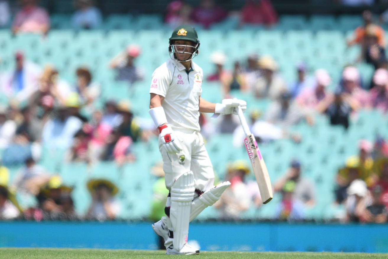 David Warner leaves the field after being caught off the bowling of Neil Wagner during day 1 of the third Test at the SCG in Sydney.