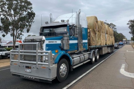 Truckies respond to East Gippsland bushfire crisis with huge ‘army of angels’ convoy
