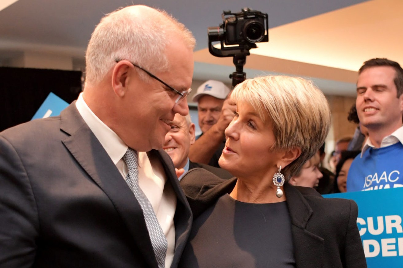 Julie Bishop knew how to fight in a conservative man's world, Donna Ward writes. 