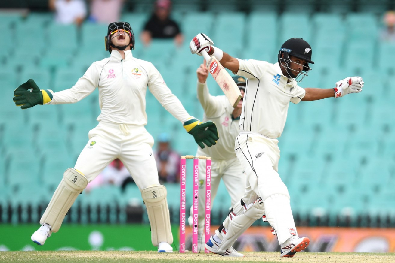 Jeet Raval is caught behind by Tim Paine off the bowling of Nathan Lyon.