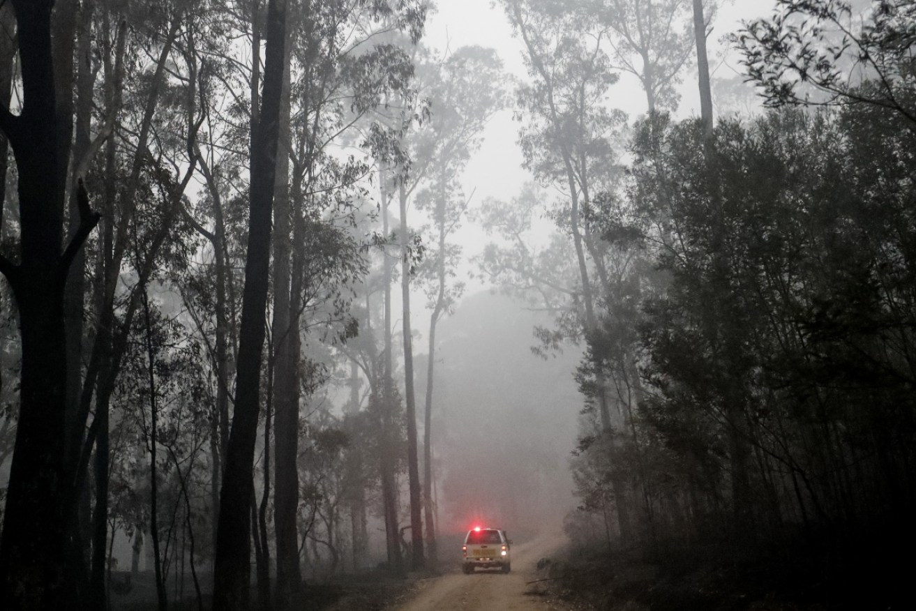 A CFA Fire and Rescue crew inspects burnt-out forest surrounding Cann River, East Gippsland.