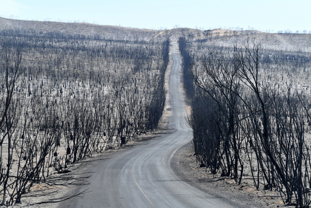 Climate change has made the bushfire season more severe.