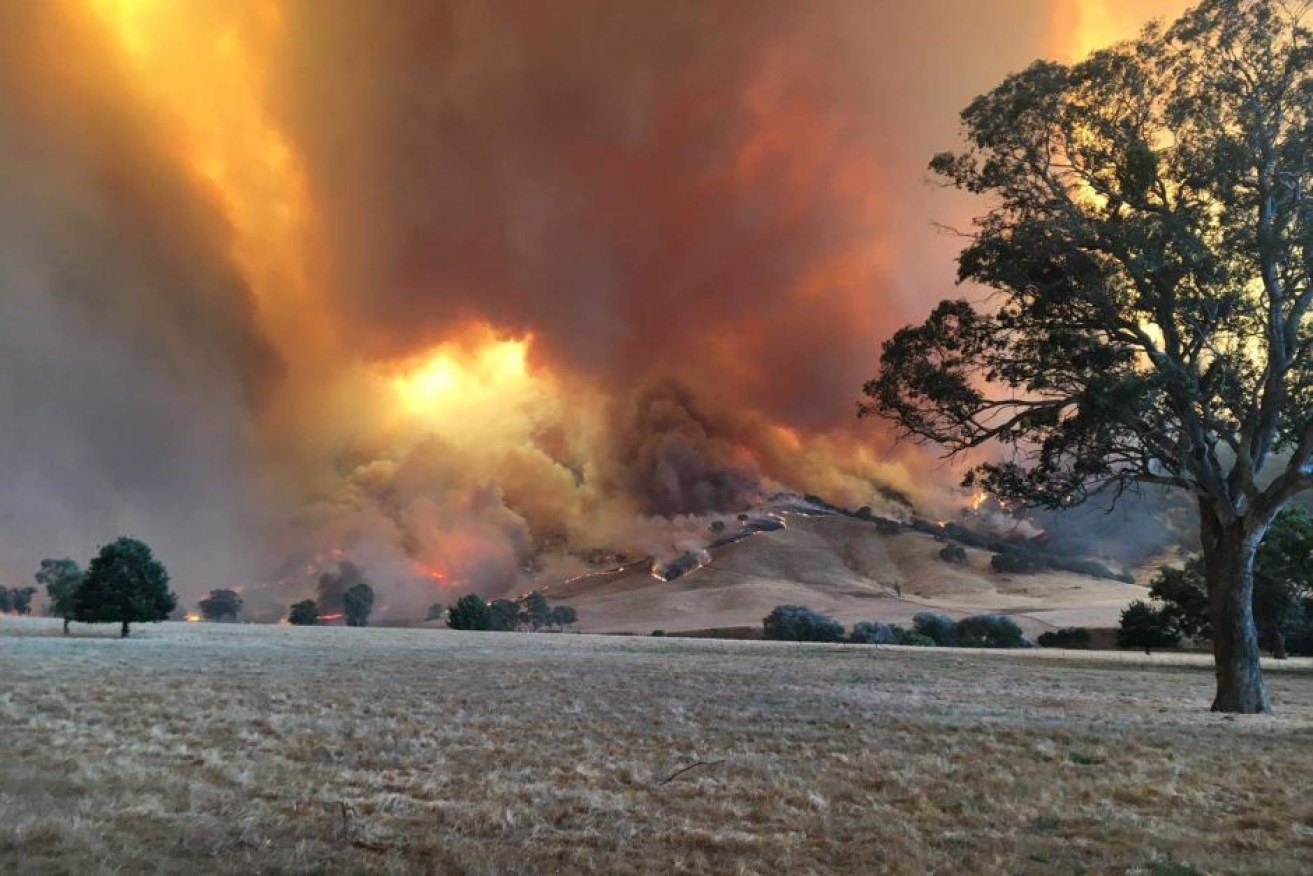 Victoria and NSW are facing yet another dangerous fire day.