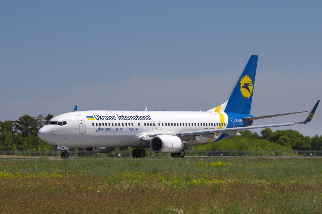 The Ukrainian Boeing 737-800 plane that crashed near Tehran.