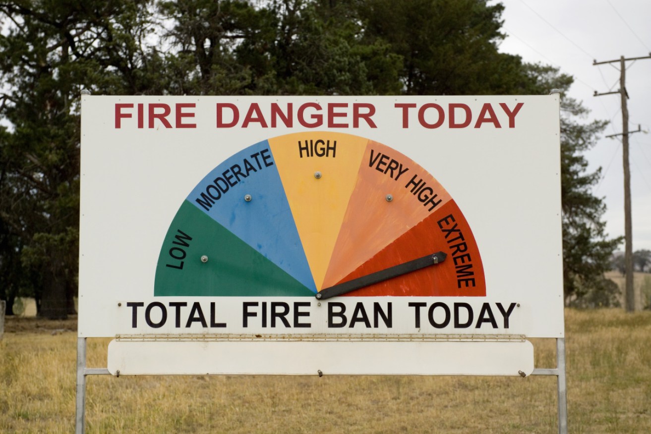 NSW emergency services officials fear high winds' potential to spark a plague of spot fires.
