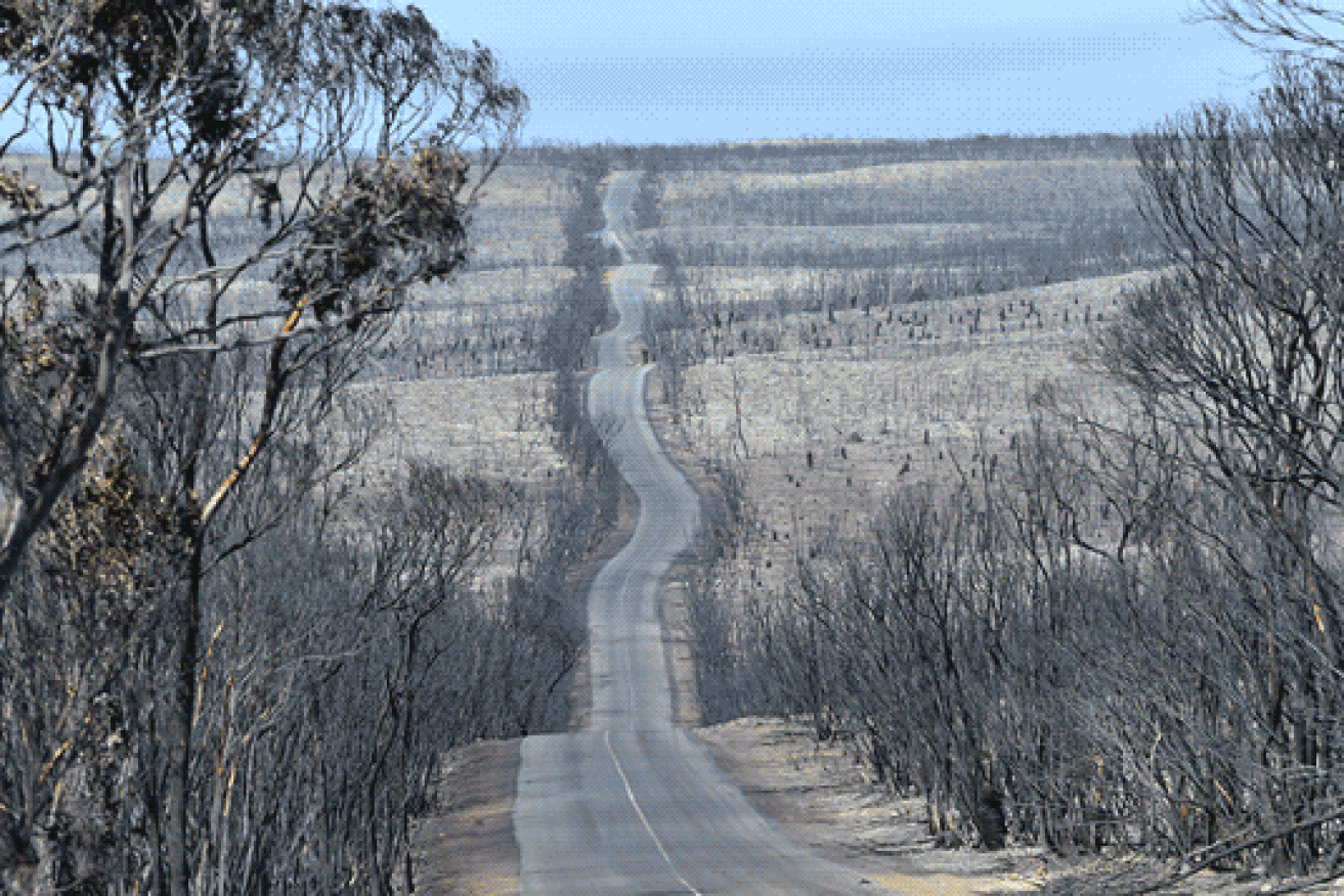 Kangaroo Island was badly hit in the season. Photo: AAP