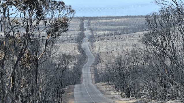kangaroo-island-australia-bushfires