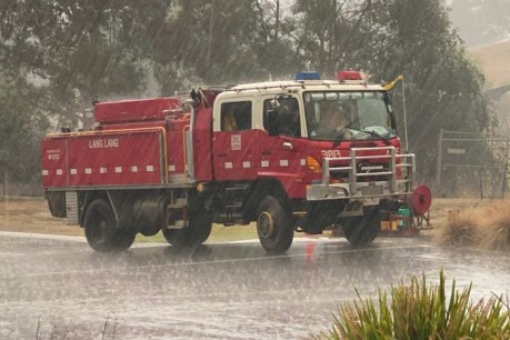 Rain relief for Australia&#8217;s firegrounds