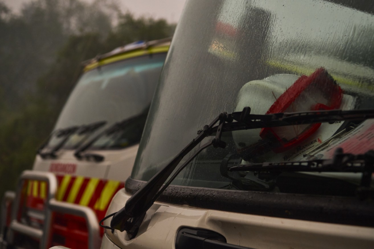 Rain is expected to fall across NSW this week particularly along the Great Dividing Range which has experienced a lot of fire activity over the past few months.