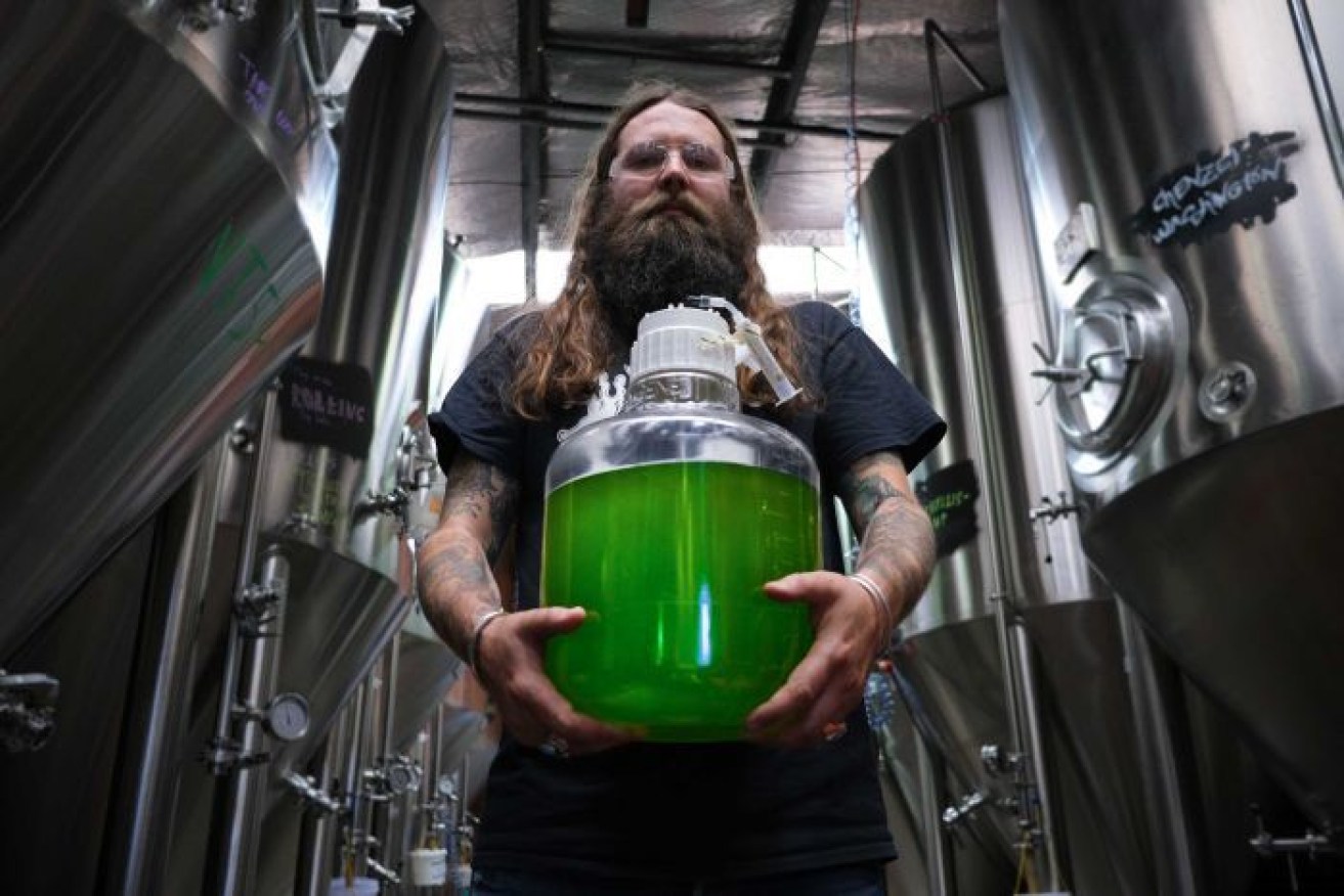 Forget hops and malt, Young Henrys co-founder Oscar McMahon's newest project involves algae.