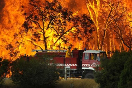 Royal commission hears Black Summer bushfires created their own weather systems