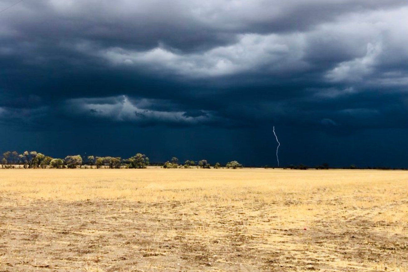 Storm clouds roll in over parched paddocks in Narrabri, NSW. 