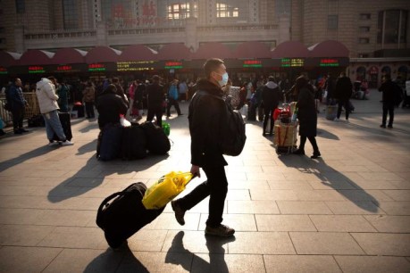 Why is a new strain of coronavirus making people in China so sick?