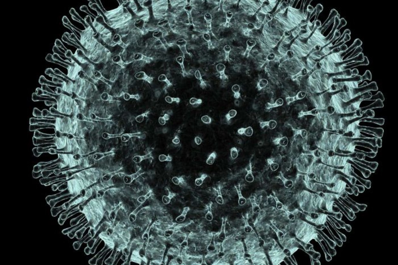 A computer artwork of a coronavirus, named after the corona, or crown, of surface proteins (outer dots) that are used to penetrate a host cell.