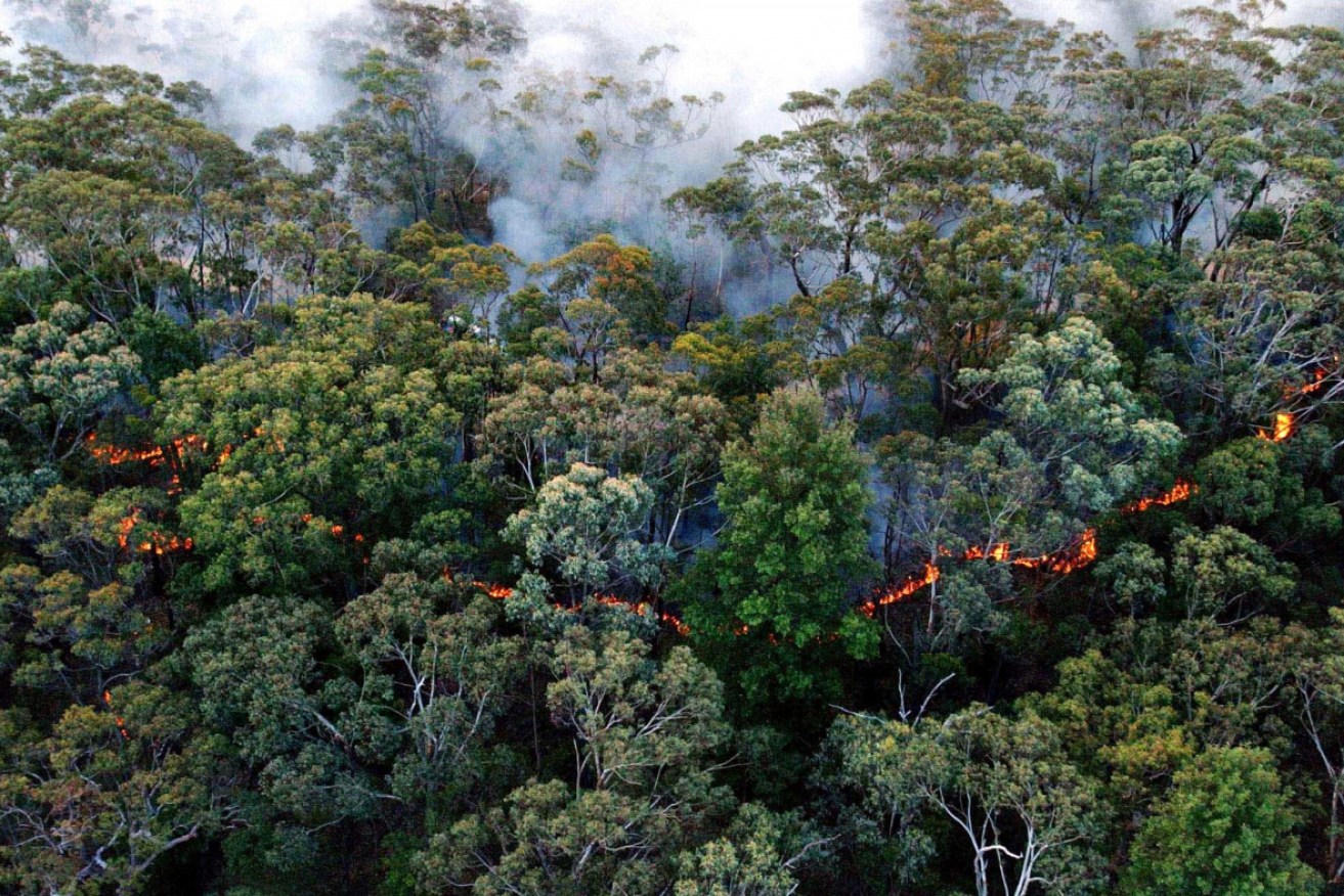 PM Scott Morrison said in January he wants the states to focus on hazard reduction measures to reduce bushfire risks.