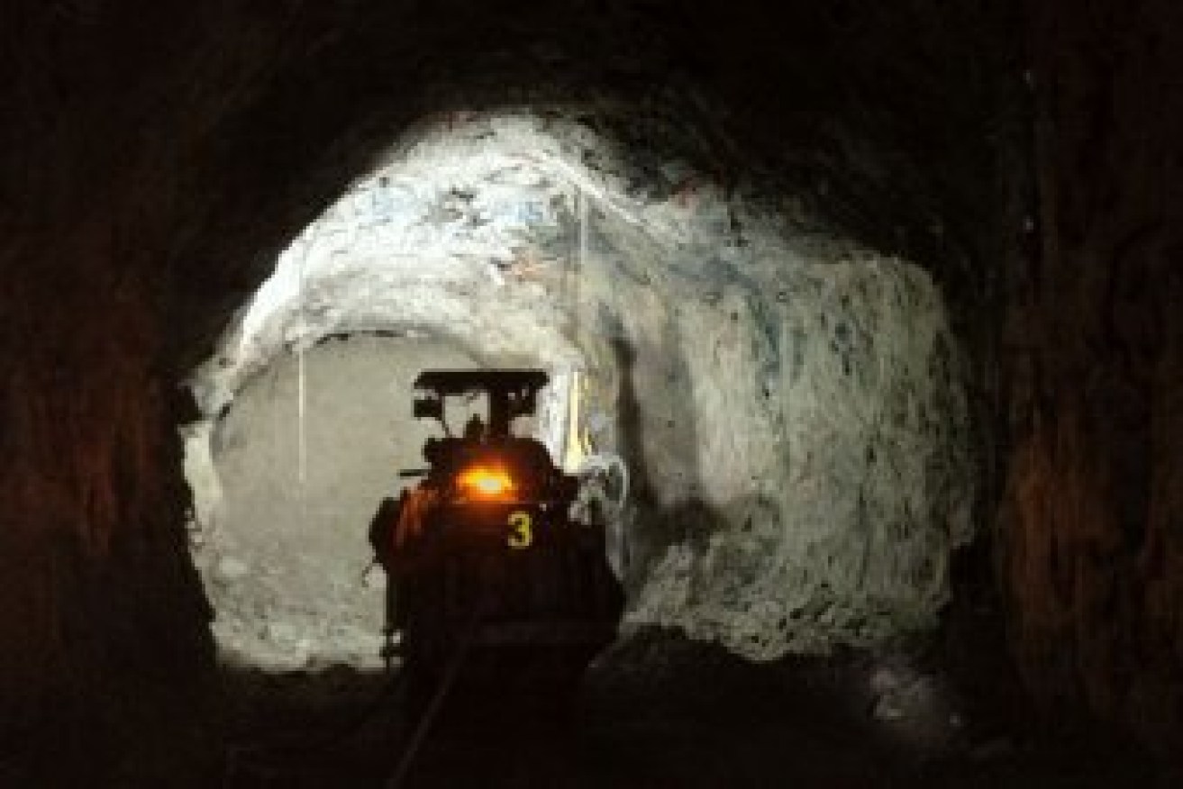 A mining worker at Henty's Gold Mine on Tasmania's West Coast has been missing since early this morning.