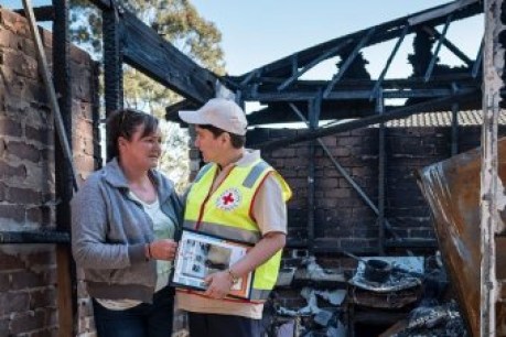 NSW ministers slam charities for bushfire relief delays