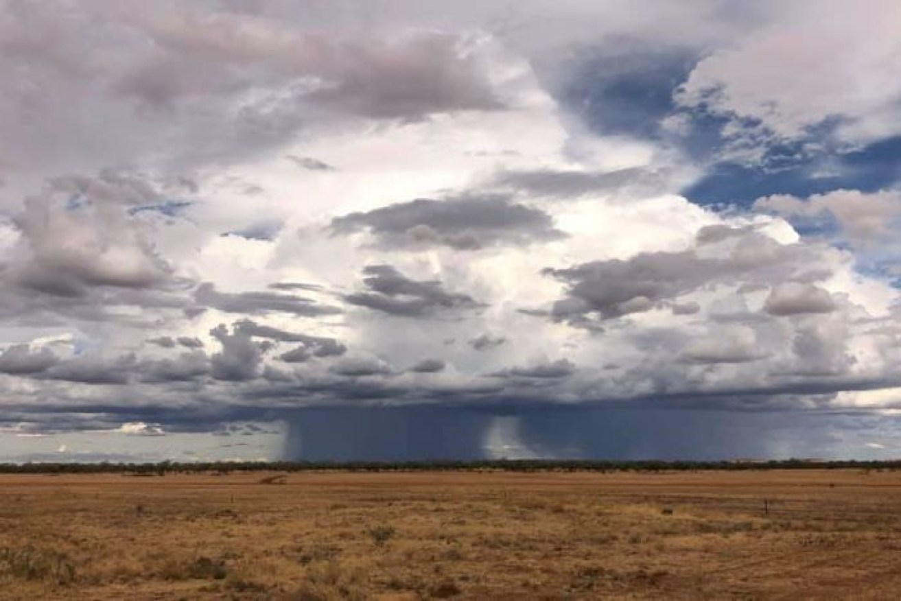 Storm clouds form over Cannington Station at McKinlay in central west Queensland where up to 60mm of rain has fallen.
