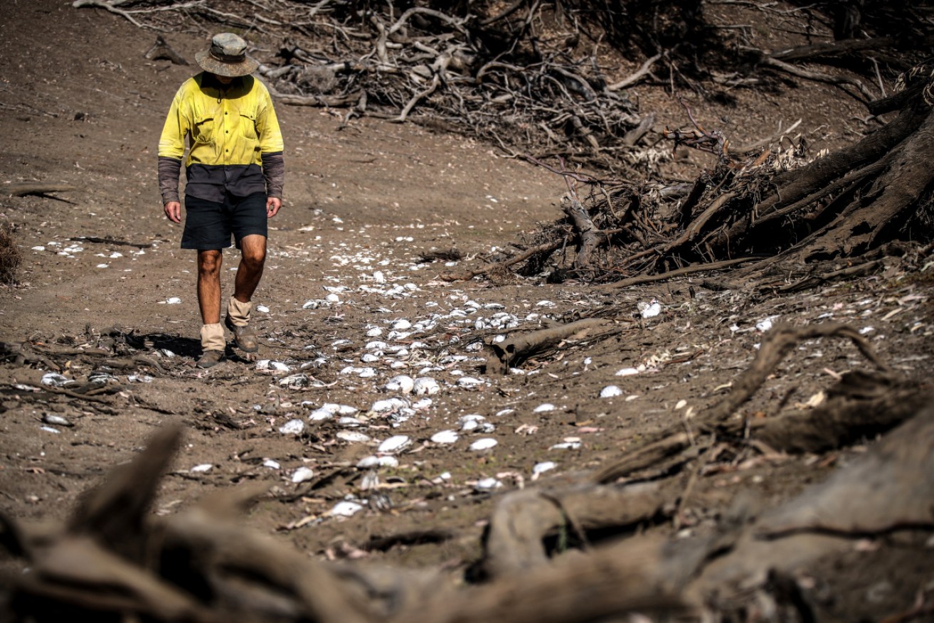 The drought which is affecting 55 towns will stay in people's minds well after it's over.