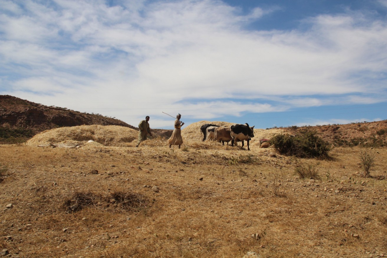 Climate change is making humanitarian crises worse.
