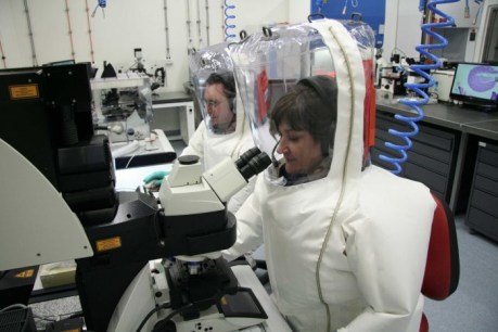 Australian-made coronavirus copy reaches high-security CSIRO laboratory in Geelong