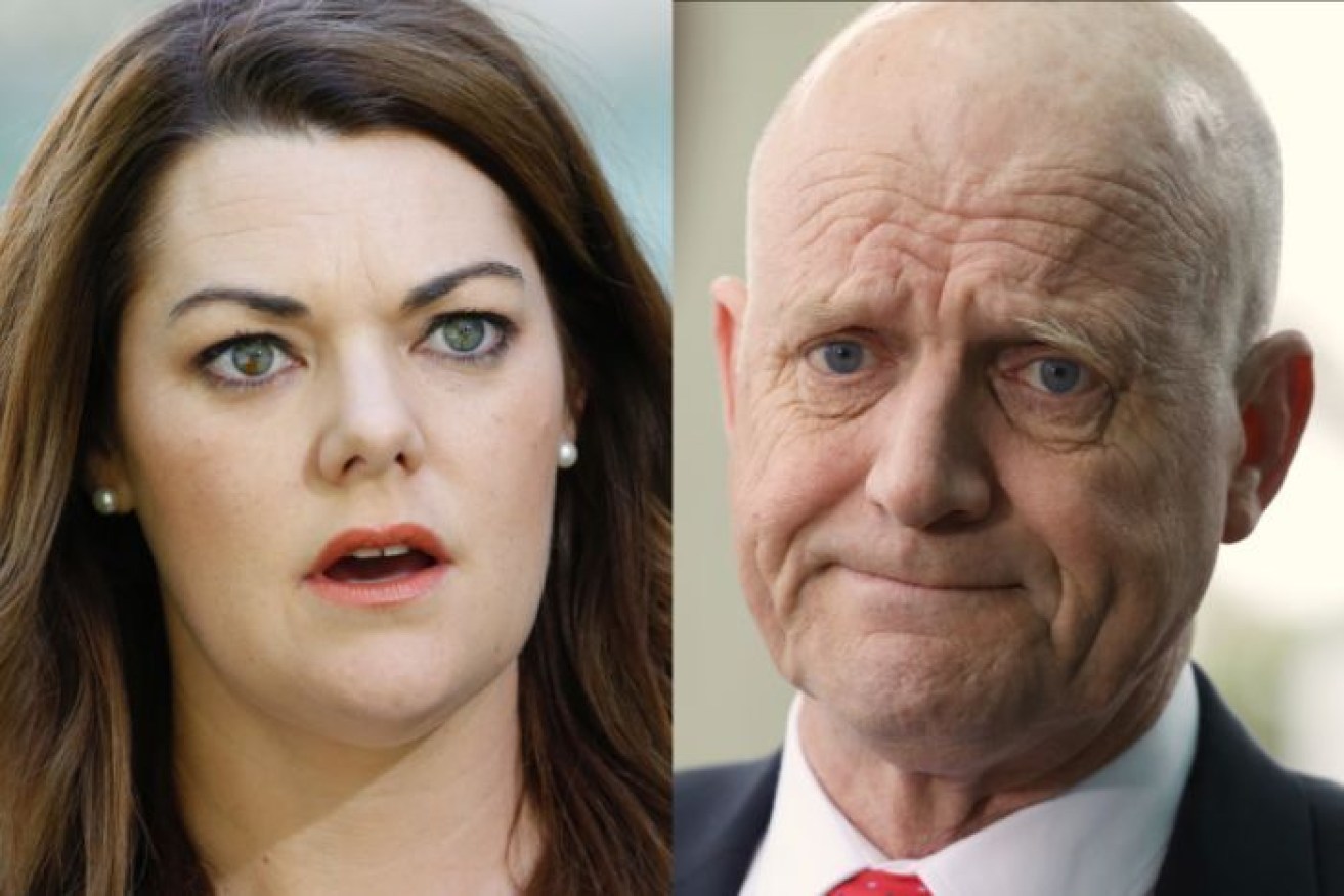 The Greens Senator had won a defamation case against former senator David Leyonhjelm.