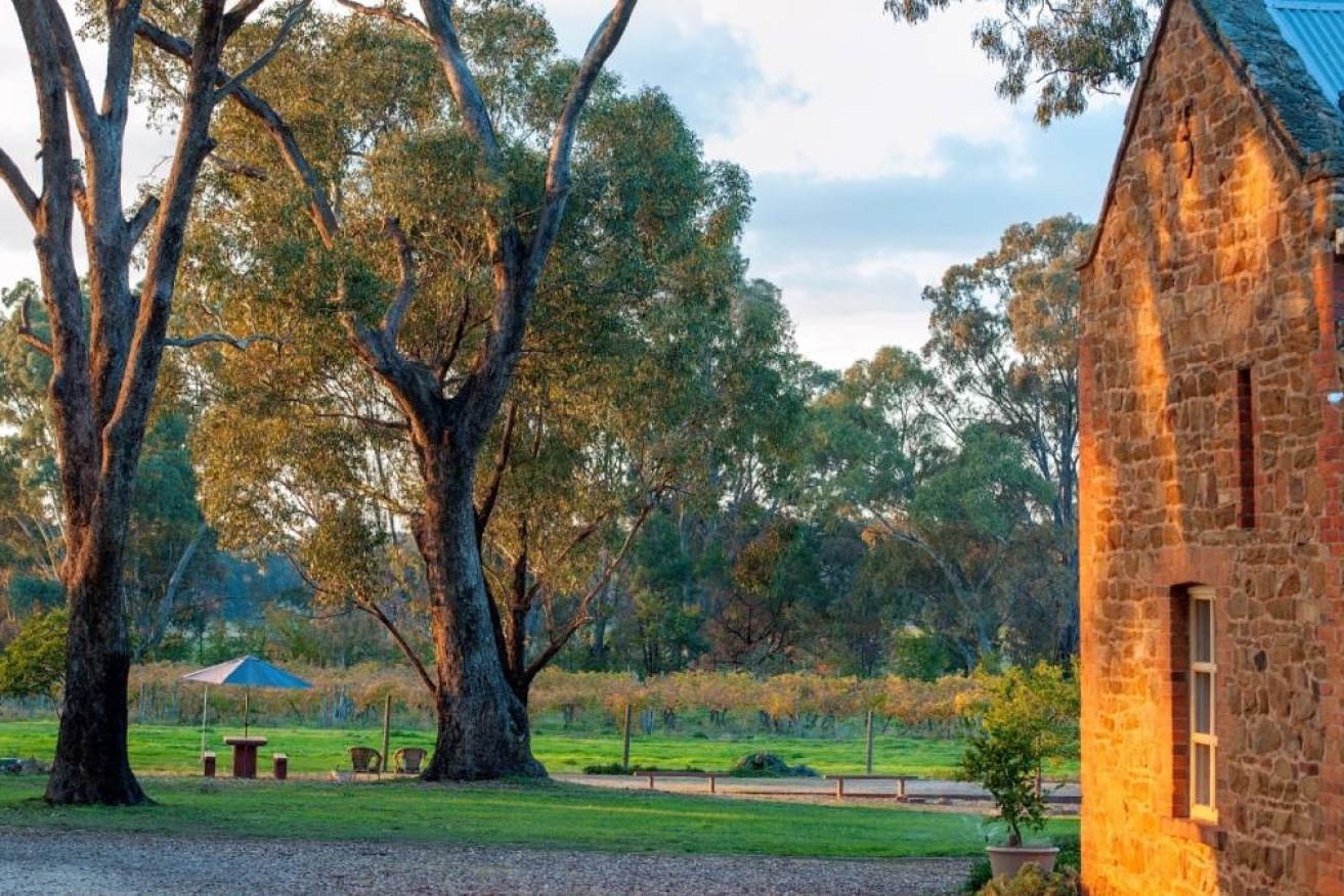 The peaceful bush setting at Byronsvale Winery, Bendigo. Photo: Bendigo Tourism. 