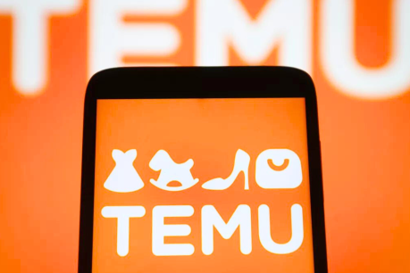 The secret behind Temu’s rock-bottom prices