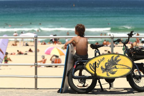 Hotter, drier, fire danger: What to expect in summer