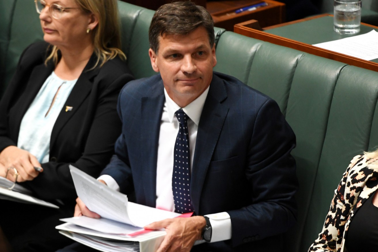 The Australian Federal Police has found no evidence Energy Minister Angus Taylor was involved in falsifying information.