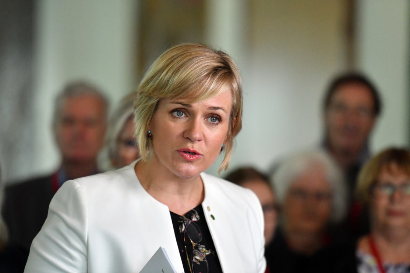Zali Steggall says she made a rookie error for not properly disclosing a $100,000 donation.