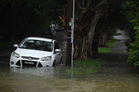 Evacuations ordered, power cut as rain batters New South Wales
