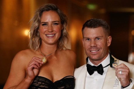 Perry, Warner awarded cricket’s top honours 