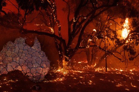 Matt Canavan’s bushfire climate skepticism disproved as studies point to human impact