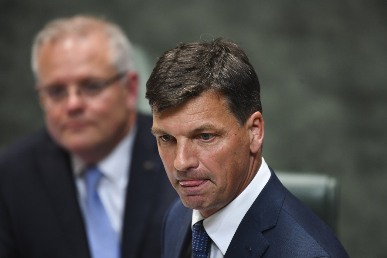Energy Minister Angus Taylor 