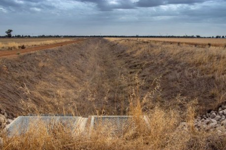 Farmers wait for Government&#8217;s $100 million water to flow months after drought deal announced